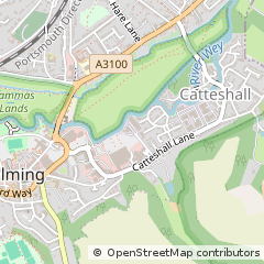 Map of Godalming, Surrey