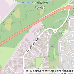 Map of Wimborne, Dorset