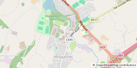 Map of Dungannon, CO. Tyrone