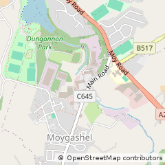 Map of Dungannon, CO. Tyrone