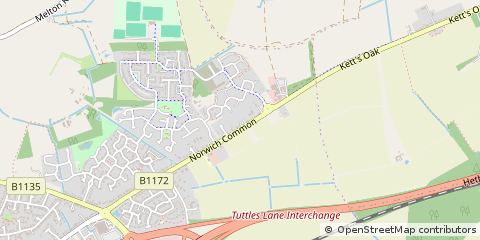 Map of Norwich Common, Norfolk