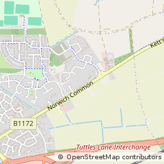Map of Norwich Common, Norfolk
