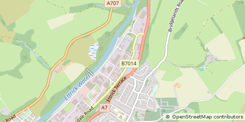 Map of Selkirk, Selkirkshire