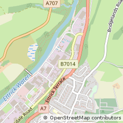 Map of Selkirk, Selkirkshire