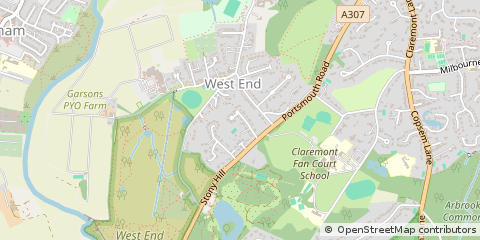 Map of Esher, Surrey