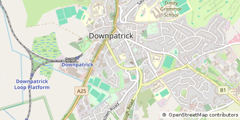 Map of Downpatrick, CO. Down