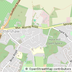 Map of Chertsey, Middlesex
