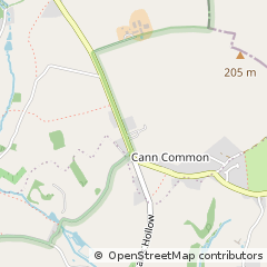 Map of Shaftesbury